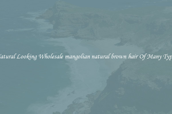Natural Looking Wholesale mangolian natural brown hair Of Many Types