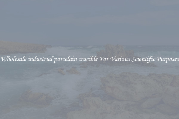 Wholesale industrial porcelain crucible For Various Scientific Purposes