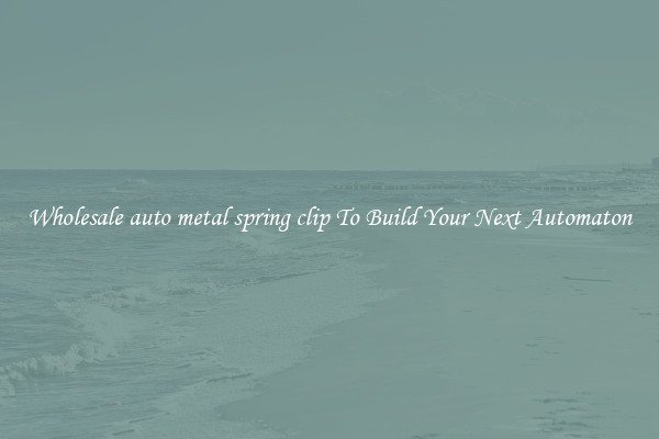 Wholesale auto metal spring clip To Build Your Next Automaton
