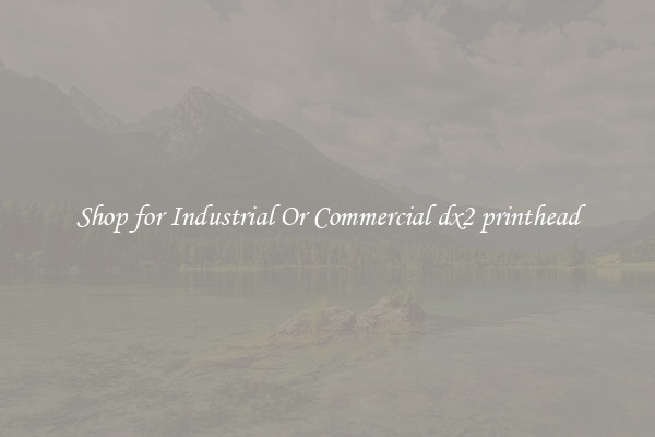 Shop for Industrial Or Commercial dx2 printhead