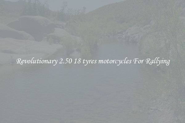 Revolutionary 2.50 18 tyres motorcycles For Rallying
