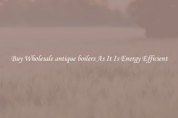 Buy Wholesale antique boilers As It Is Energy Efficient