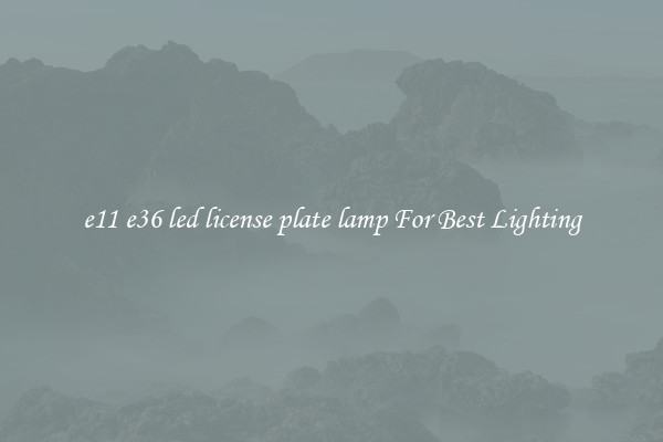 e11 e36 led license plate lamp For Best Lighting