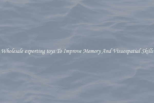 Wholesale exporting toys To Improve Memory And Visuospatial Skills