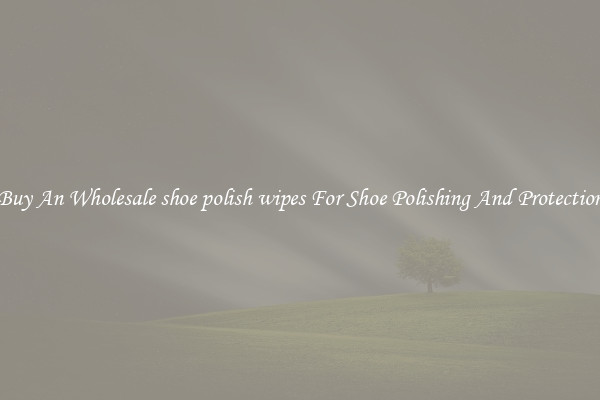 Buy An Wholesale shoe polish wipes For Shoe Polishing And Protection