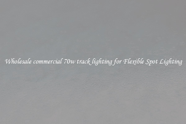 Wholesale commercial 70w track lighting for Flexible Spot Lighting