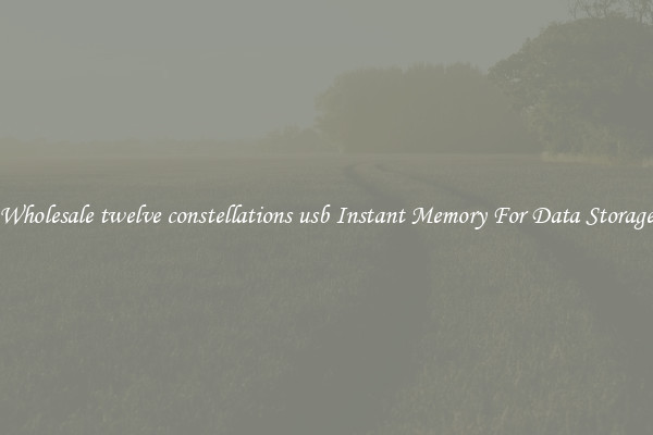 Wholesale twelve constellations usb Instant Memory For Data Storage