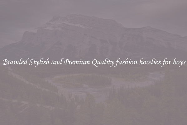 Branded Stylish and Premium Quality fashion hoodies for boys