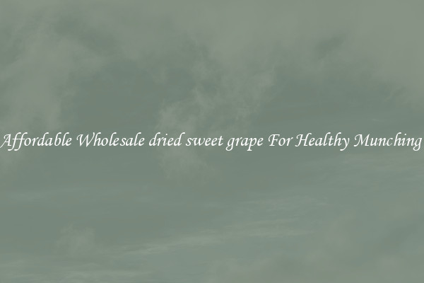Affordable Wholesale dried sweet grape For Healthy Munching 
