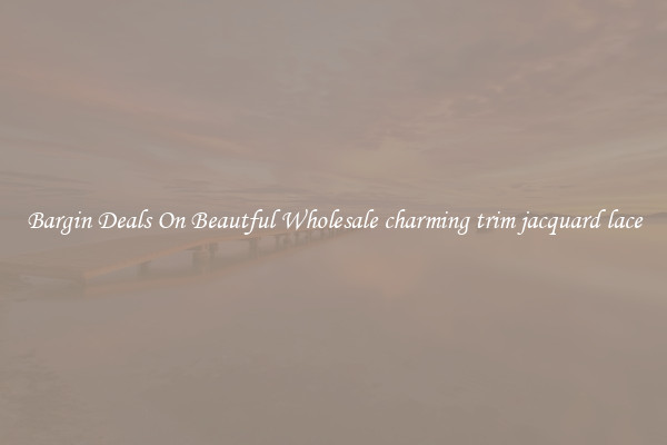 Bargin Deals On Beautful Wholesale charming trim jacquard lace
