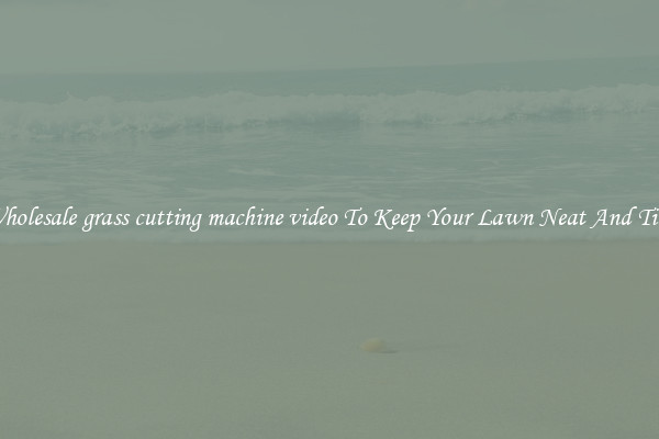 Wholesale grass cutting machine video To Keep Your Lawn Neat And Tidy