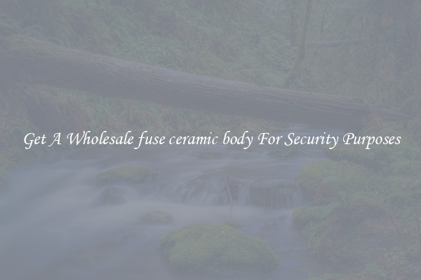 Get A Wholesale fuse ceramic body For Security Purposes