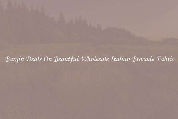 Bargin Deals On Beautful Wholesale Italian Brocade Fabric