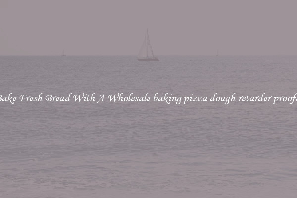Bake Fresh Bread With A Wholesale baking pizza dough retarder proofer