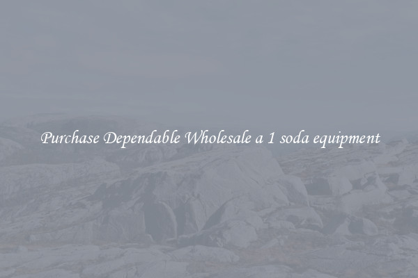 Purchase Dependable Wholesale a 1 soda equipment