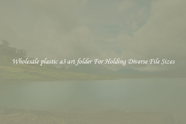 Wholesale plastic a3 art folder For Holding Diverse File Sizes