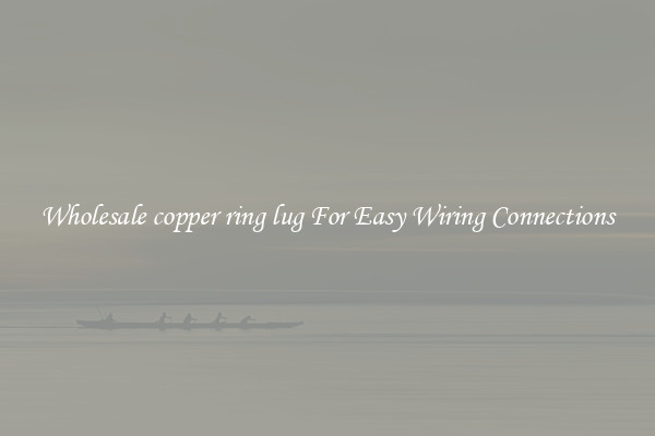 Wholesale copper ring lug For Easy Wiring Connections