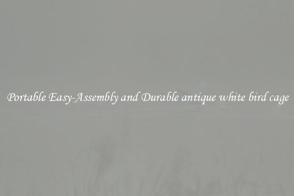 Portable Easy-Assembly and Durable antique white bird cage