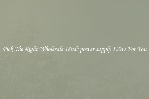 Pick The Right Wholesale 48vdc power supply 120w For You