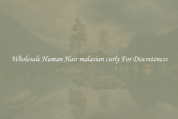 Wholesale Human Hair malasian curly For Discreteness
